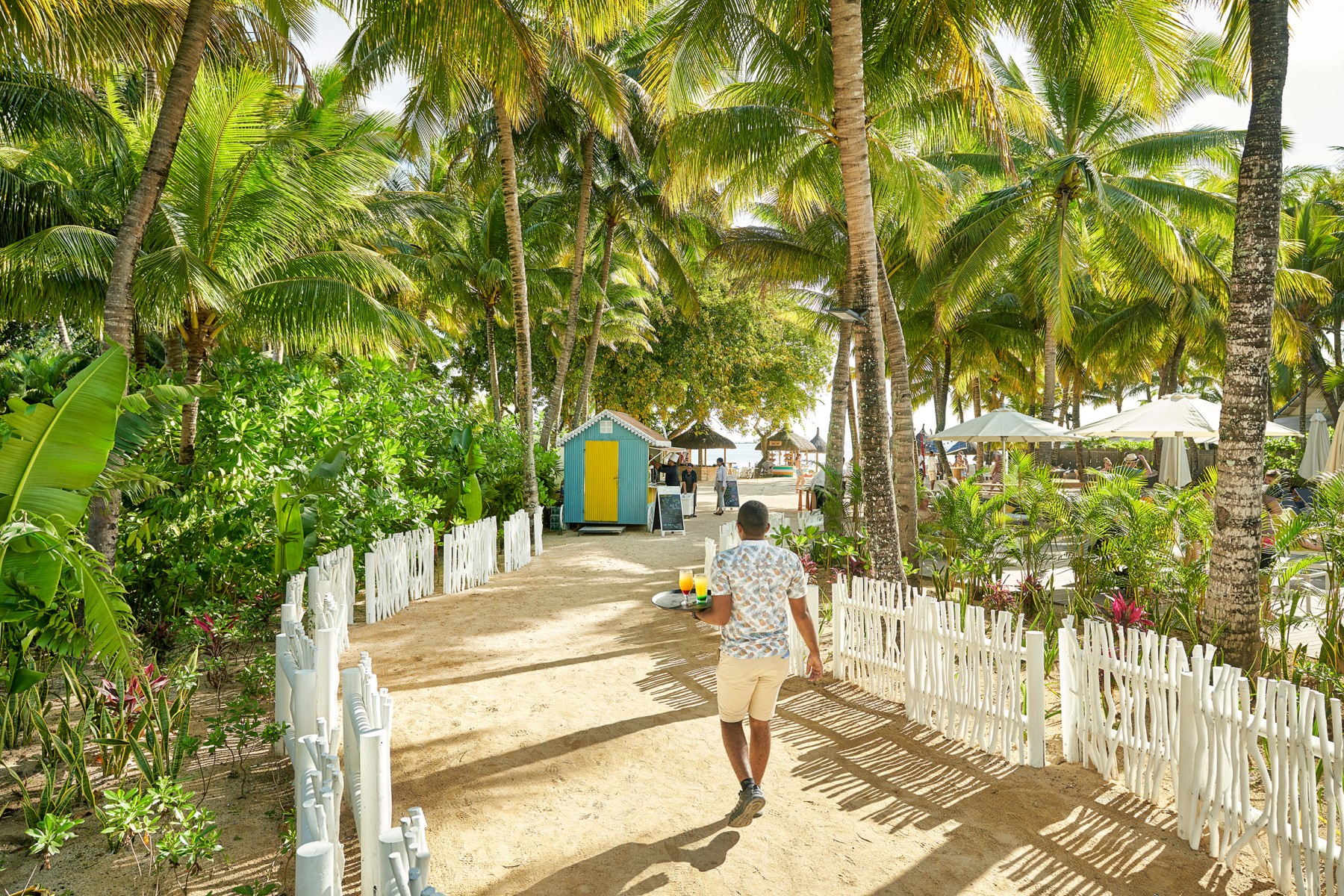 The Ravenala Attitude